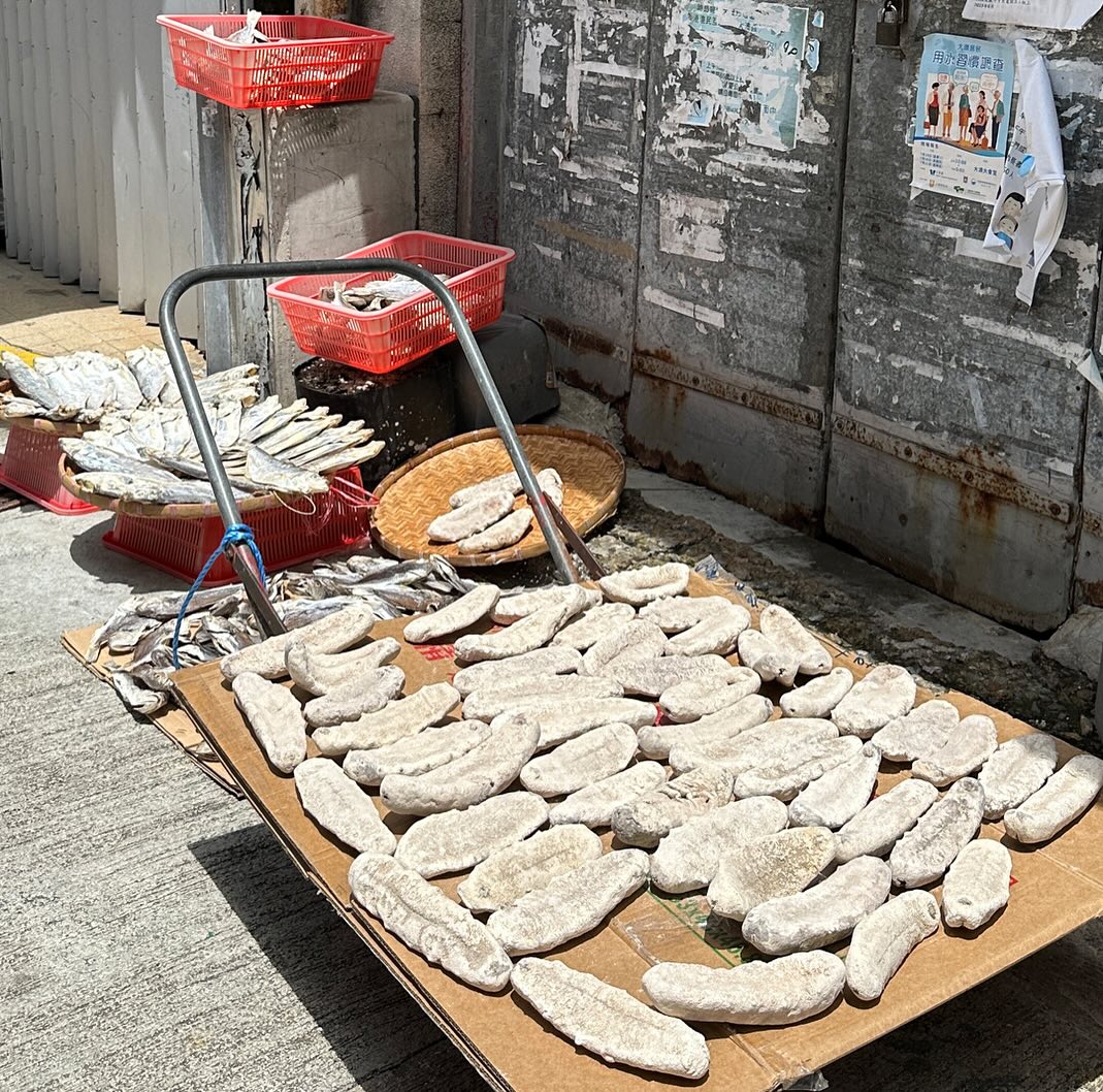 Dried Seafood l 海味