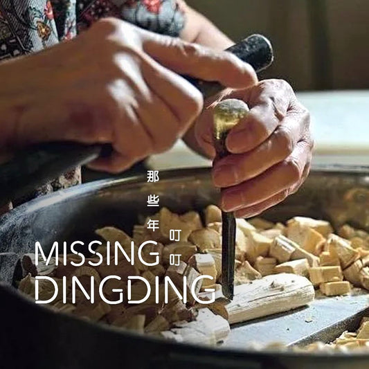 Missing Ding Ding | 那些年叮叮