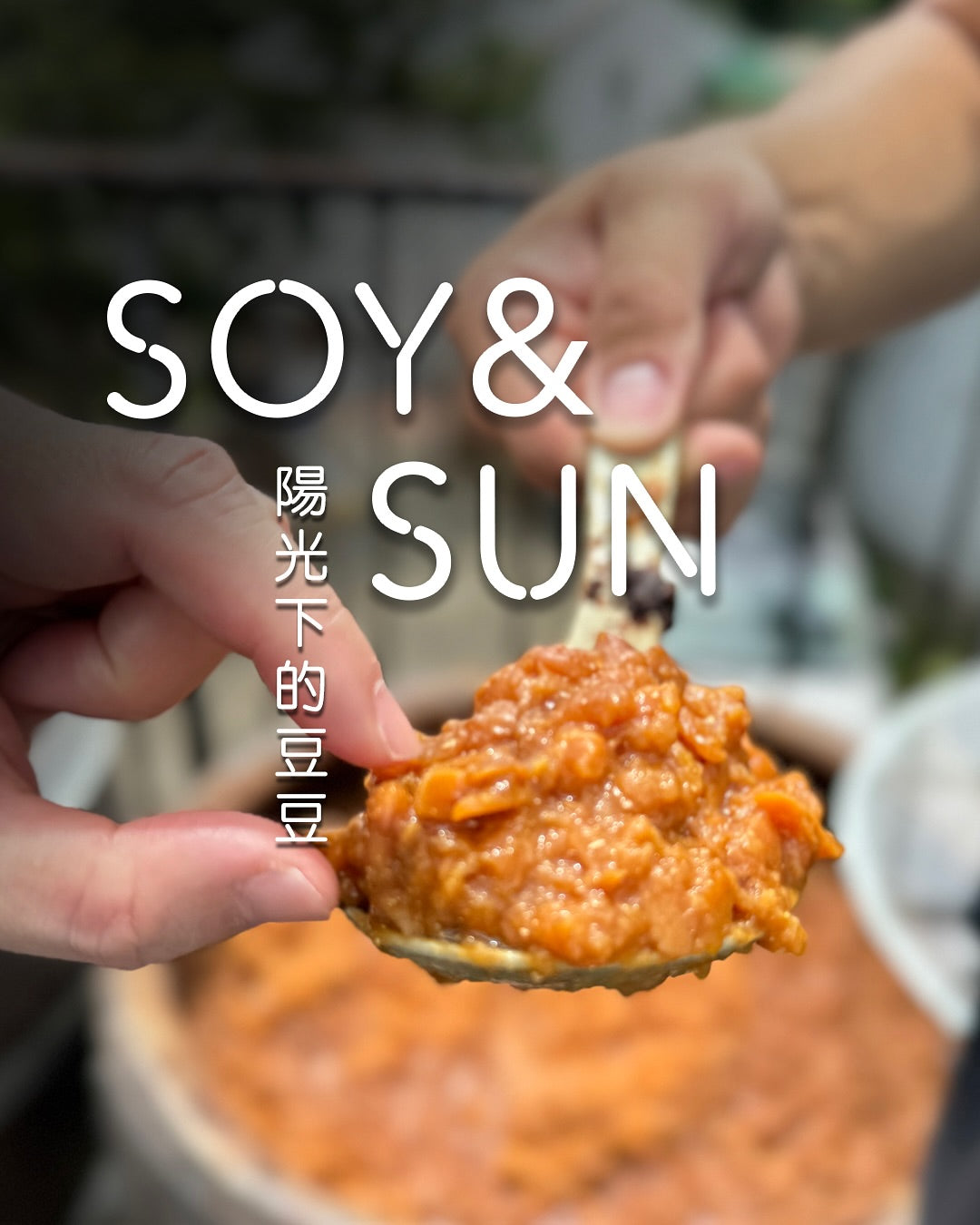 Soya & Sun