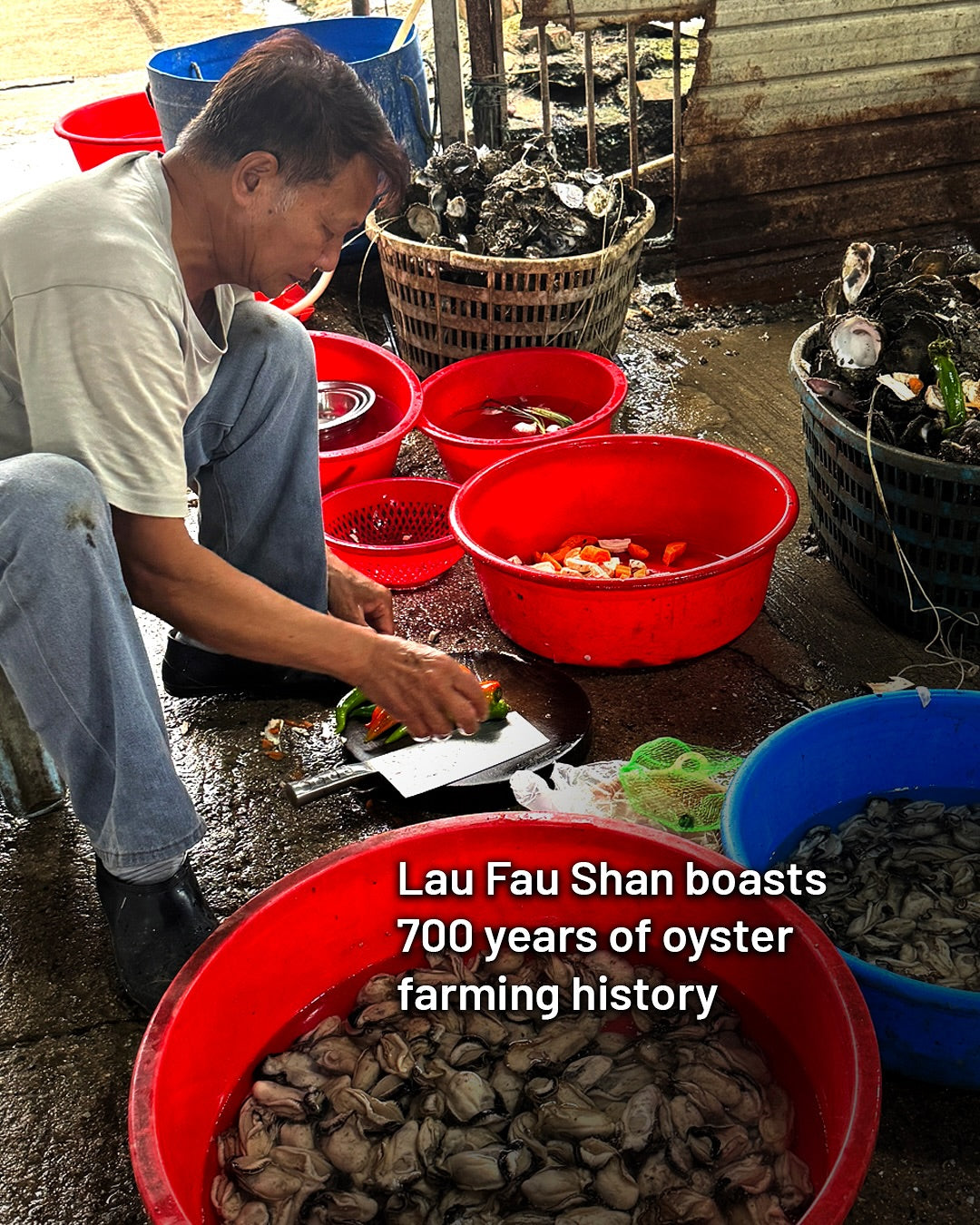 Oyster Sauce | 蠔油