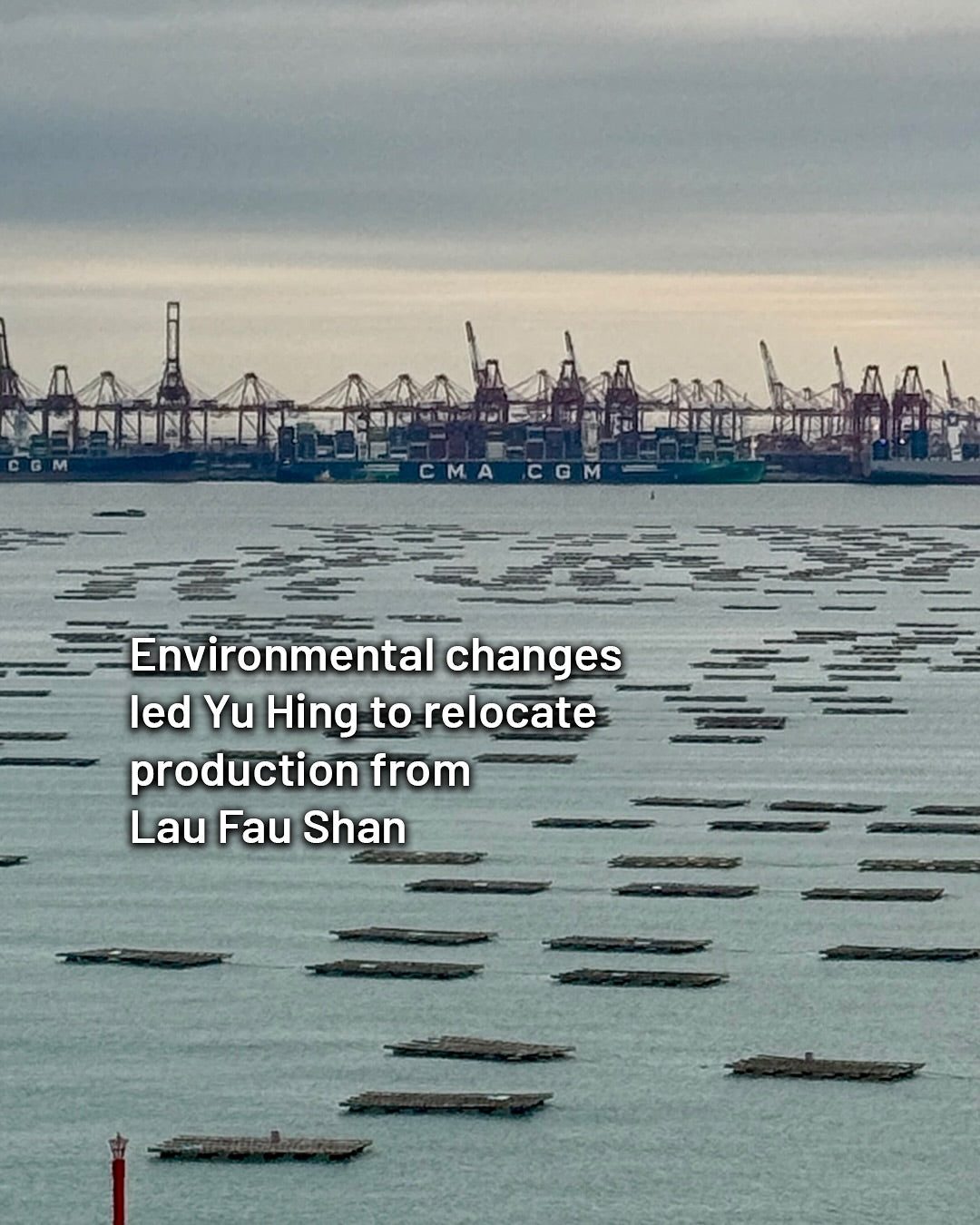 Oyster Sauce | 蠔油