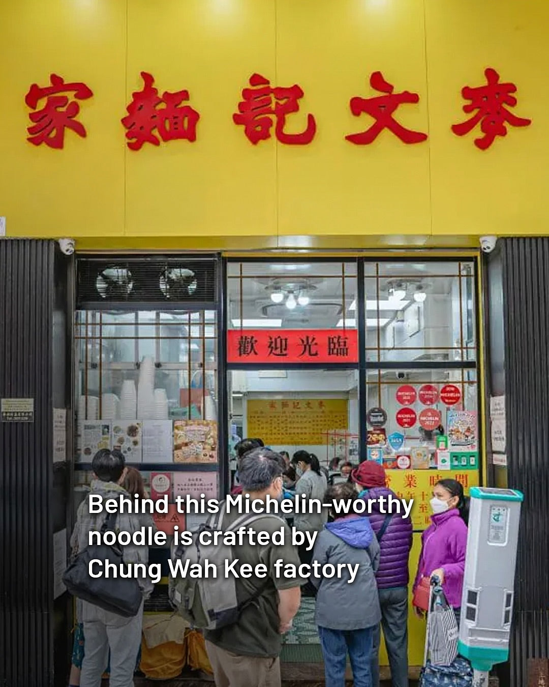 Whole Egg Noodles | 全蛋生面