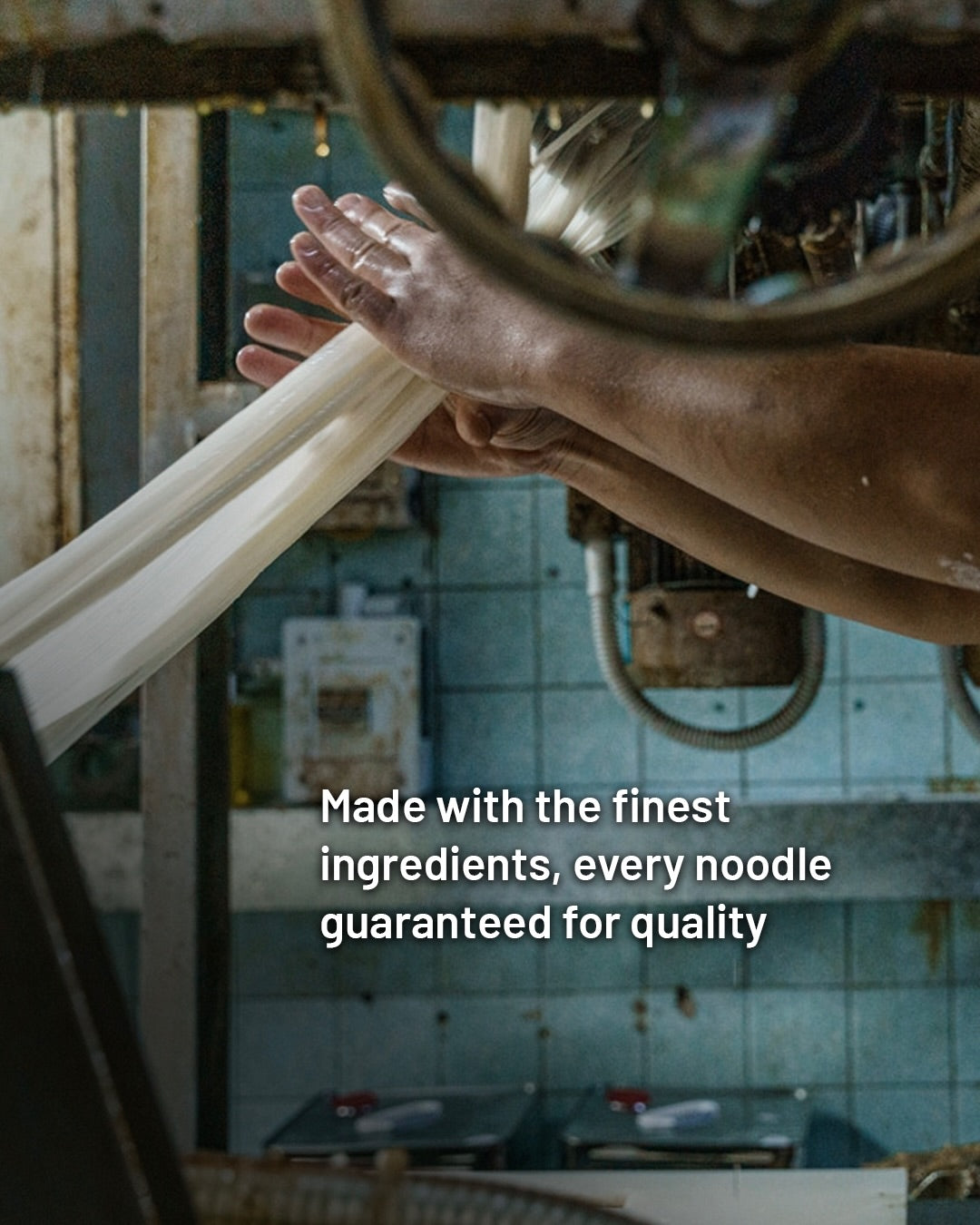 Premium Shrimp Egg Noodle | 特級蝦子麵