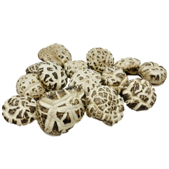 Hong Kong Dried Food / Mushroom / Fatt Choy l 香港海味乾貨 (特大原木花菇 / 髮菜）