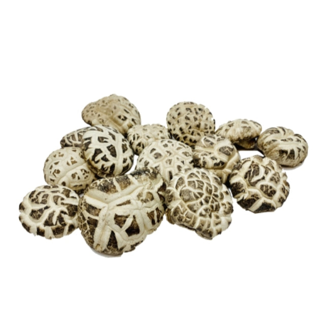 Hong Kong Dried Food / Mushroom / Fatt Choy l 香港海味乾貨 (特大原木花菇 / 髮菜）